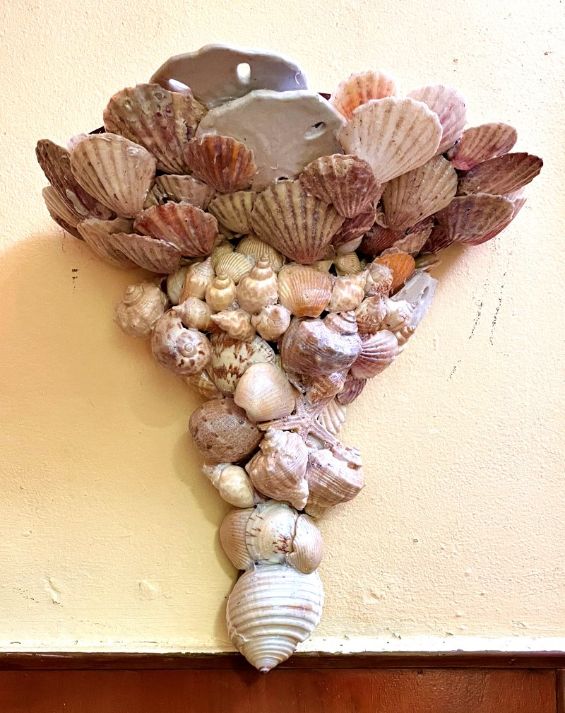 Wall shelf covered in natural scallop shells and spiral seashells