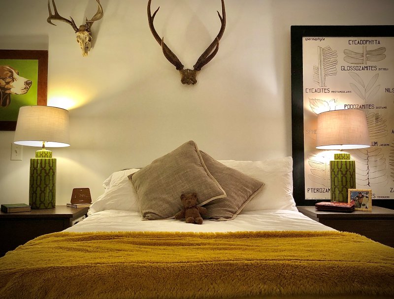 Bedroom with a mustard throw, twin green trellis-patterned lamps, and mounted antlers