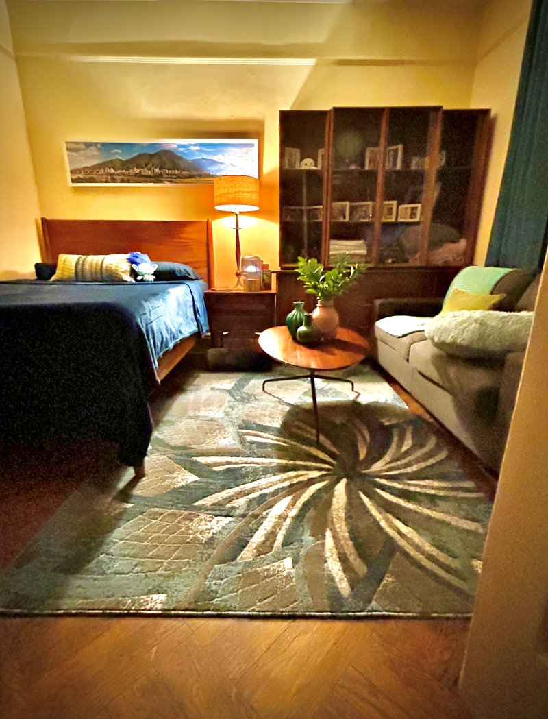 Bedroom sitting area with a blue bed, mid-century bookcase, and swirl rug